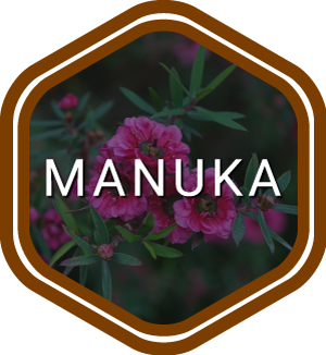 manuka