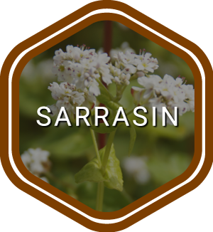 sarrasin
