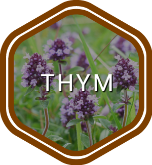 thym