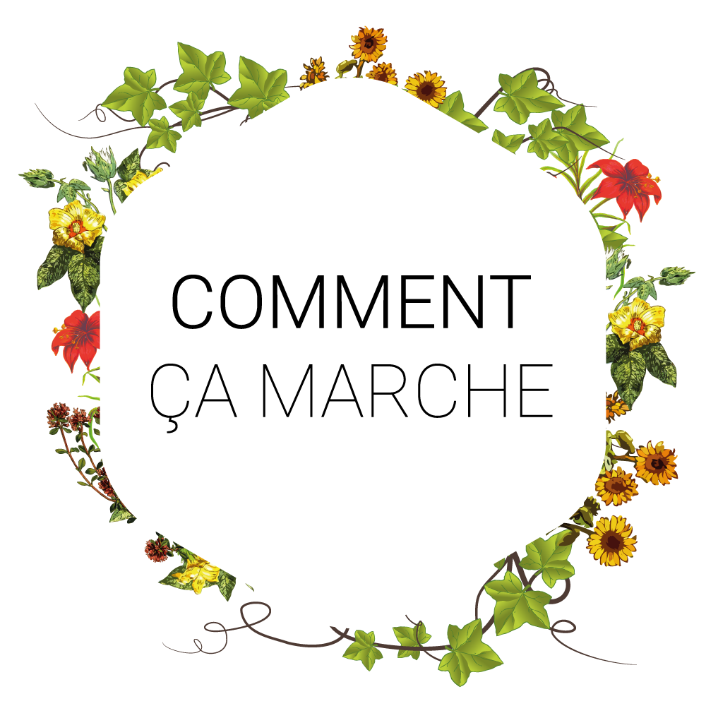 comment ca marche