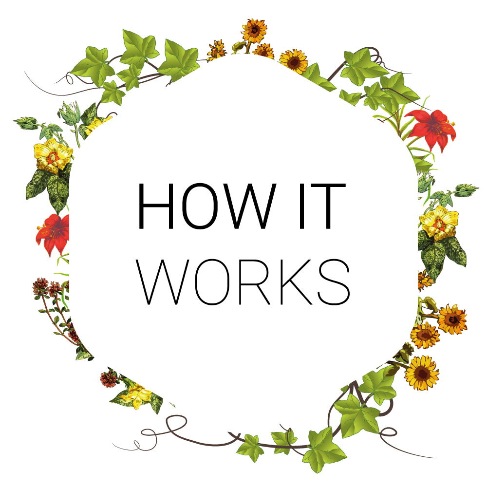 how it works
