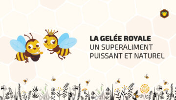 Gelee-royale-superaliment-puissant-naturel