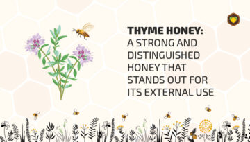 Miel-de-thym-EN