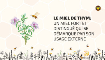 Miel-de-thym-FR